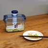 Japanese Pickle Maker Tsukemono Maker BPA Free Made in Japan 1.6L Clear x Blue