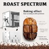Coffee Roaster Coffee Beans Melon Seeds Nuts roasting machine Roaster Oven Fire grill