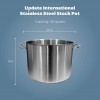 Update International SPS-20 Induction Stock Pot 20-Quart Silver