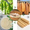 3 Pcs Natural Loofah Steamer Cloth Non-stick Steaming Dumpling Mat Cloth and Steamed Buns Steamer Gauze Steamed Dim Sum for Use in the Kitchen 8 Inch 10 Inch and 12 Inch