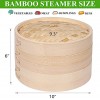 Bamboo Steamer 10 Inch Dumpling Steamer Basket Two Tier Baskets with 50pcs Liners Dim Sum Steamer & Bao Bun Chinese Steamers For Cooking Vegetables Fish Meat Chicken Veggies Rice,Asian Steamer