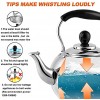 DclobTop Stove Top Whistling Tea Kettle 2.5 Quart Classic teapot appearance Culinary Grade Stainless Steel Teapot Composite process bottom…