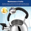 Tea Kettle Stovetop 2.1 Quart Mirror Finished Stainless Steel Whistling Teakettle For Stovetop Tea Pot with Folding Cool Grip Ergonomic Handle Small Tea Pot Water Boiler for Home Kitchen