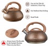 Tea Kettles Stovetop Whistling Cool Handle 3.17 Quart Tea Pots for Stove Top Stainless Steel Food Grade Wood Pattern Electric Applicable Brown