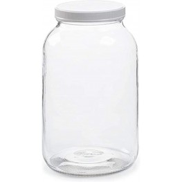 Parker Eight 1 Pack 1 Gallon Glass Jar with Plastic Airtight Lid Muslin Cloth Rubber Band Wide Mouth Easy to Clean Dishwasher Safe Kombucha Kefir Canning Sun Tea Fermentation Storage