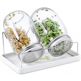 Complete Mason Jar Sprouting Kit 2 Wide Mouth Quart Sprouting Jars with 316 Stainless Steel Sprouting Lids Ceramic Drip Tray and Stand