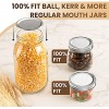 Regular Mouth Canning Lids 100 PCS Mason Jar Lids and Extra 4 Bands 100% Fit For Ball Kerr Jars Food Grade Material Split-Type Canning Jar Lids Airtight & Leak Proof