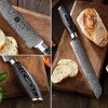 XINZUO 8 Inch Bread Knife High Carbon 67 Layer Japanese VG10 Damascus Super Steel Kitchen Knife Professional Chef's Knife with Pakkawood Handle Ya Series