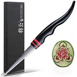 GAINSCOME Kitchen Carving Knife 67-Layer Damascus Steel Sharp Non-Grinding Vegetable Fruit Platter Carving Main Master Knives ABS S-Type Non-Slip Handle