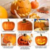Halloween Pumpkin Carving Kit Professional Heavy Duty Stainless Carving Set for Halloween Decoration Jack-O-Lanterns Pumpkin Carving Set with Carrying Case 6Pcs