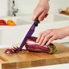 Tovolo Comfort Grip Stainless Steel Slicing Knife for Fish Pork Poultry 8.5 Inches