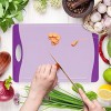 Neoflam Microban Antimicrobial Protection Cutting Board 11'' Stain & Odor BPA Free Reversable Juice Groove Non-Slip EZ Grip Handle Dishwasher Safe Kitchen Use for Chopping Food Prep Purple
