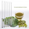 6Pcs Stainless Steel Forks Dessert Server Skewer Fondue Pot Forks Kitchen Tool Tableware Perfect for Cheese Meat Chocolate Dessert